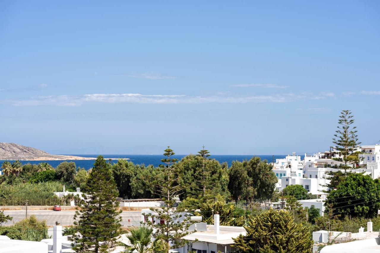 Hara'S Villa In Naousa , Paros Náousa Exterior foto