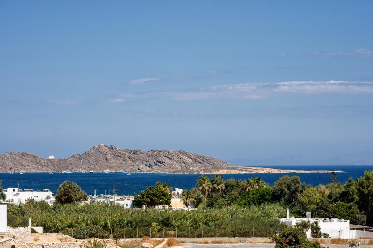 Hara'S Villa In Naousa , Paros Náousa Exterior foto